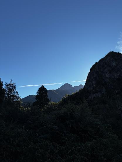 Mount Patriarch from the  Wangapeka track