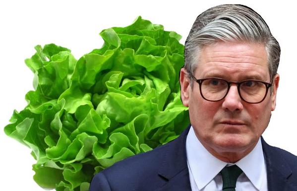 Keir Starmer head and shoulders pic in front of a green head of lettuce