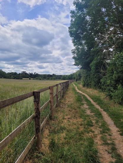 A small winding path running along the side of a field, with a wooden fence on the left hand side.