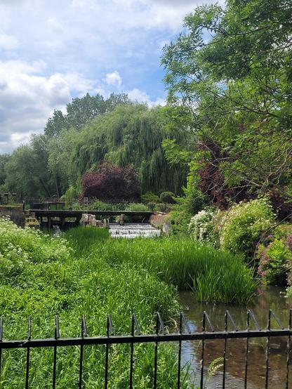 A beautiful river is cascading down some man made stairs and all around are trees of different heights and colours, greens, reds, reeds.