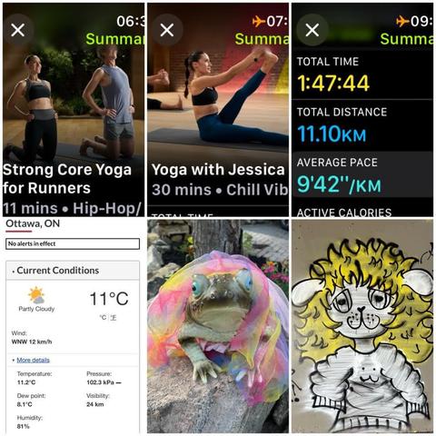 Grid of iOS screenshots and two photos:
1) Apple Fitness Strong Core Yoga for Runners, 11 mins.
2) Apple Fitness Yoga with Jessica, 30 mins.
3) Apple Fitness Walking Details:
Total Time: 1:47:44.
Total Distance: 11.10 KM.
Average Pace: 9'42"/KM.
4) Environment Canada site showing 11°C, 81% humidity, and 12 KM/H wind.
5) Photo of a ceramic (or plastic) green frog with green eyes with colourful transparent fabric over it.
6) Graffiti of cat-like person wearing a sweater with flowy yellow hair on the 417 recreational path underpass.