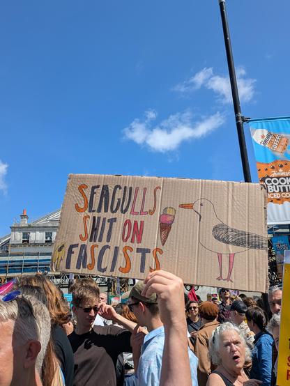 Cardboard sign that says seagulls shit on fascists - with a nice seagull
